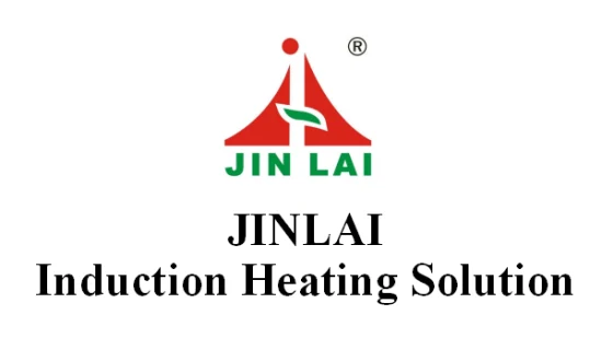 Jinlai piccola saldatrice a induzione da 3KW di alta qualità di vendita calda